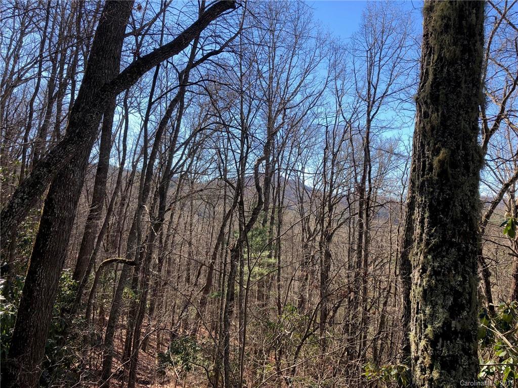 11 Shepherds Gap Road, Unit 11 Cullowhee, NC 28723 - Photo 5 of 13 Gallery Image 5