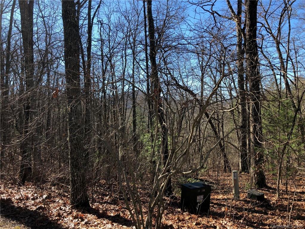 11 Shepherds Gap Road, Unit 11 Cullowhee, NC 28723 - Photo 6 of 13 Gallery Image 6