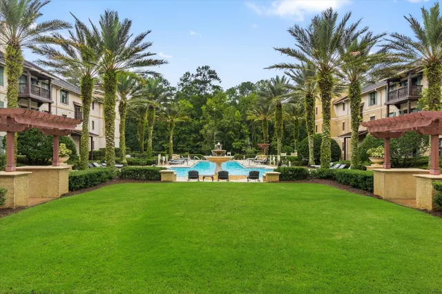 a view of a park with palm trees