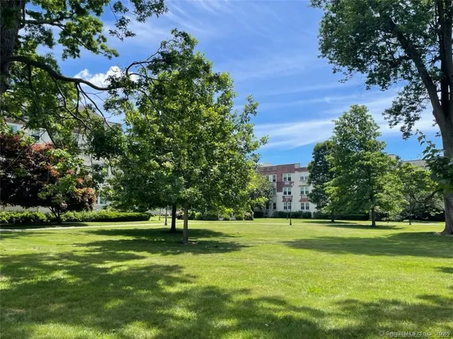 a view of a park with large trees