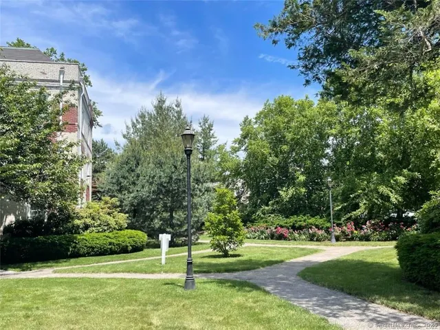 a view of a park with large trees