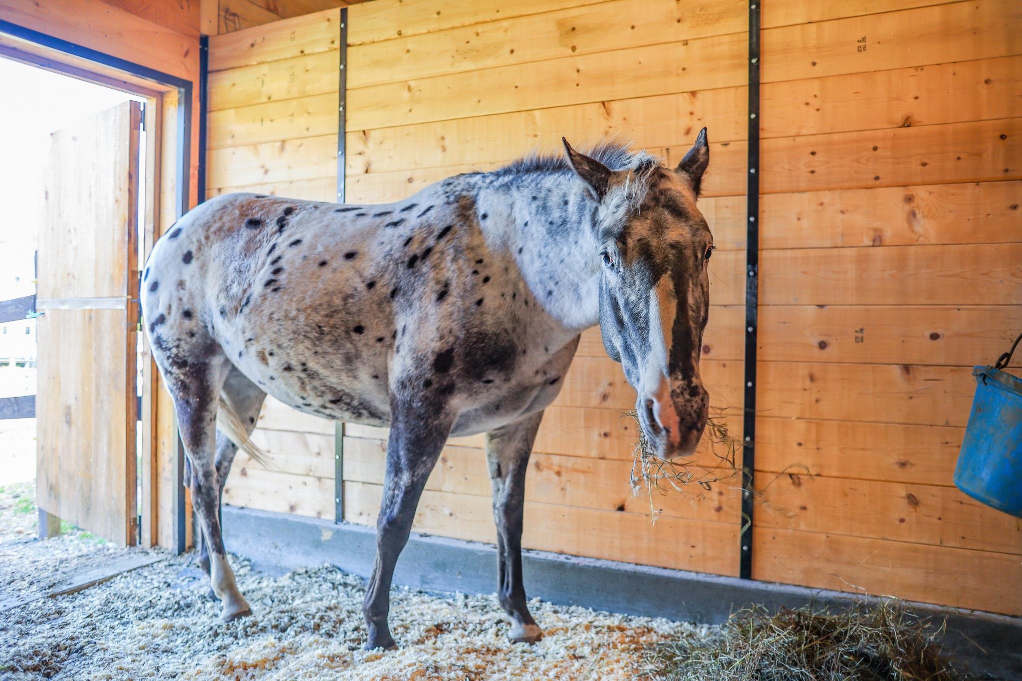 100 Cram Road Sanbornton, NH 03269 - Photo 37 of 50