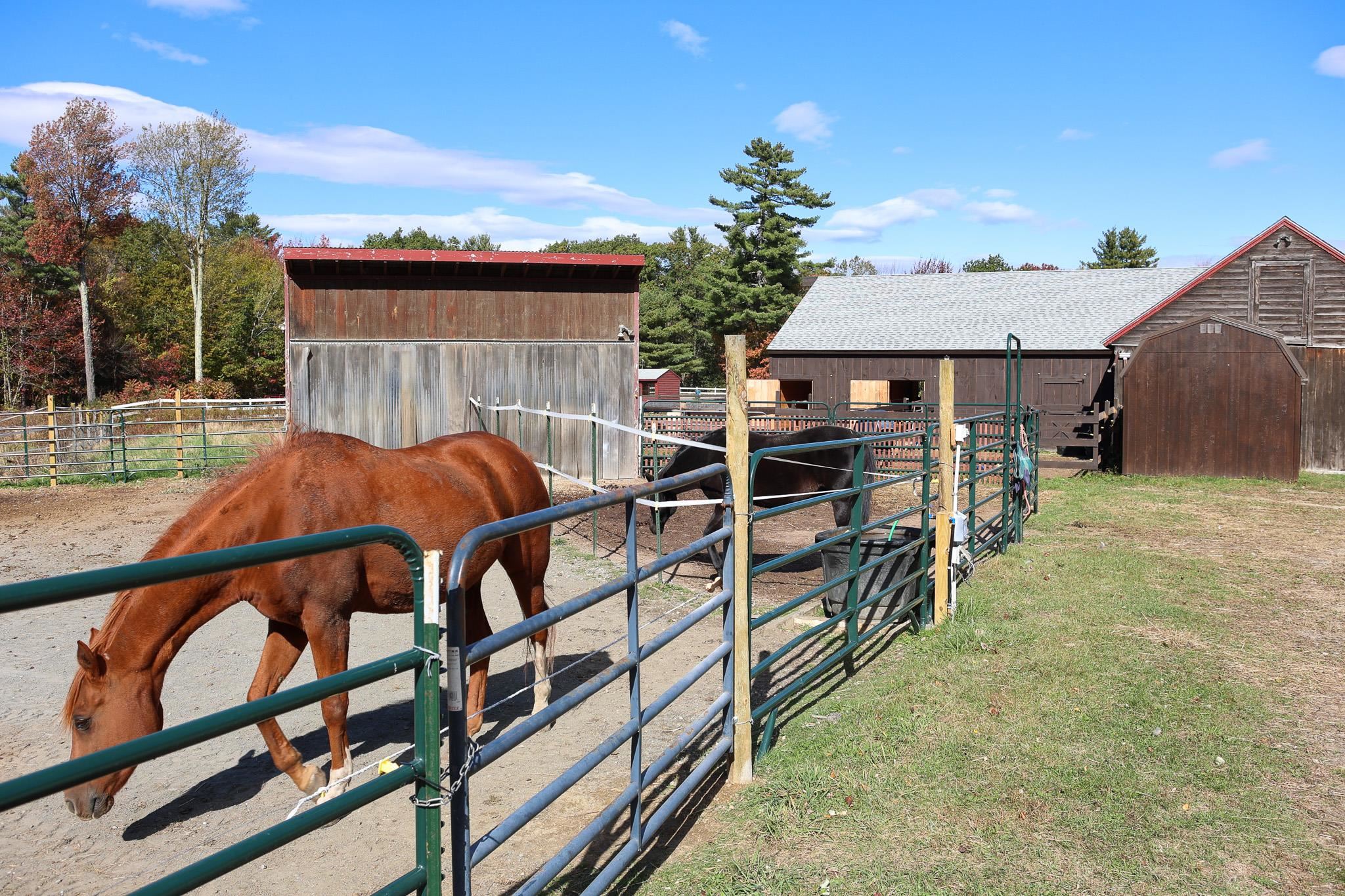 100 Cram Road Sanbornton, NH 03269 - Photo 38 of 50