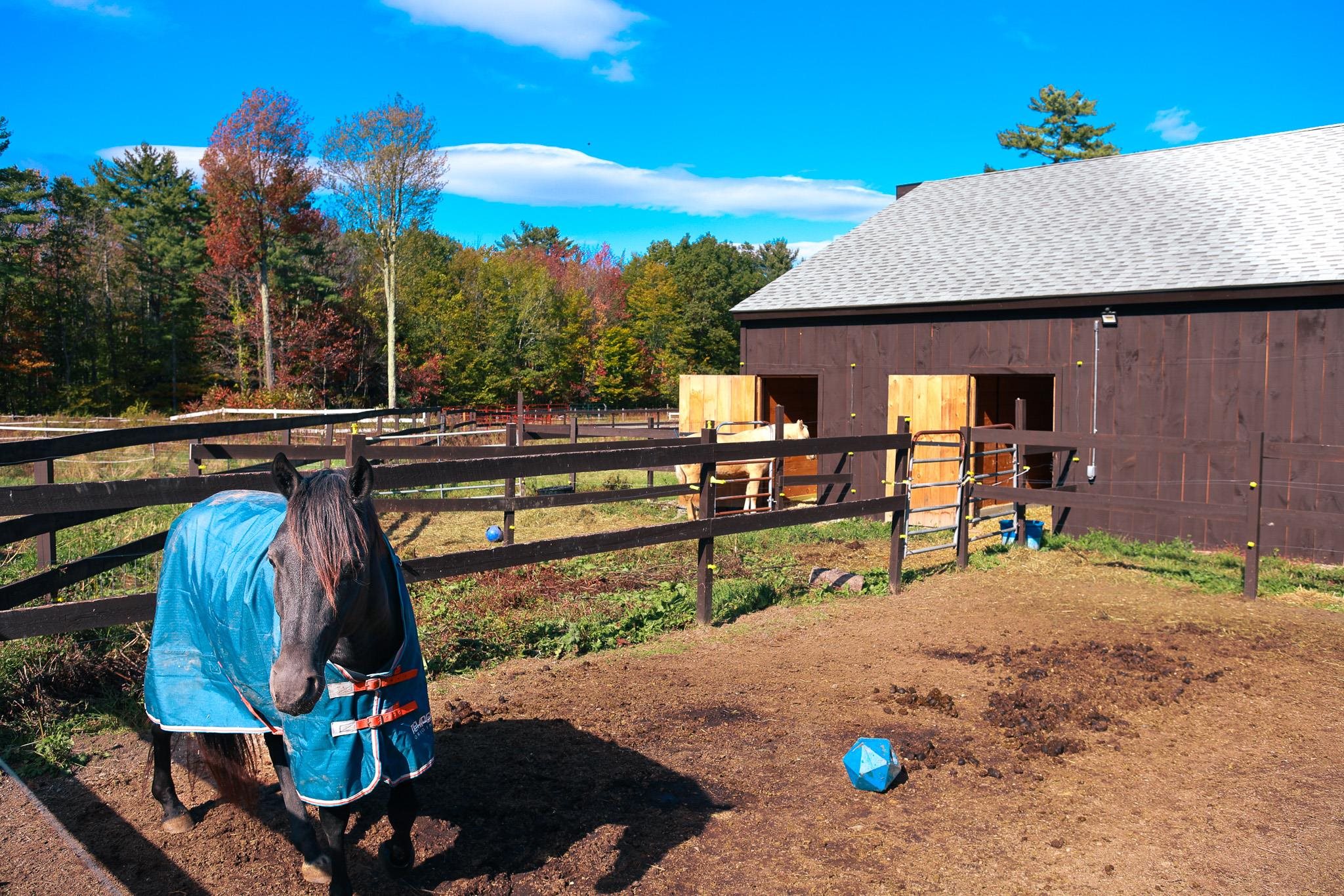 100 Cram Road Sanbornton, NH 03269 - Photo 39 of 50