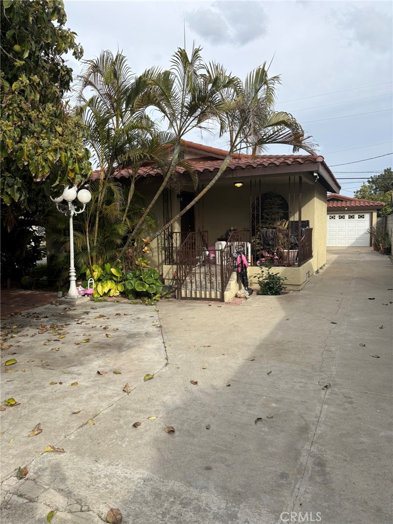 Front yard/driveway
