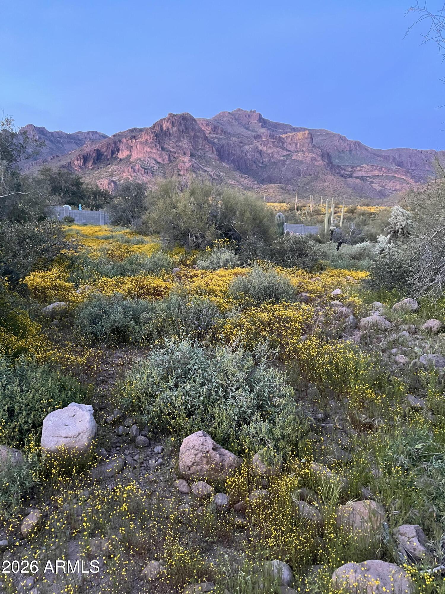 0 South Buckboard Road, Unit 2 Gold Canyon, AZ 85118 - Photo 12 of 17 a view of a lake with mountains in the background