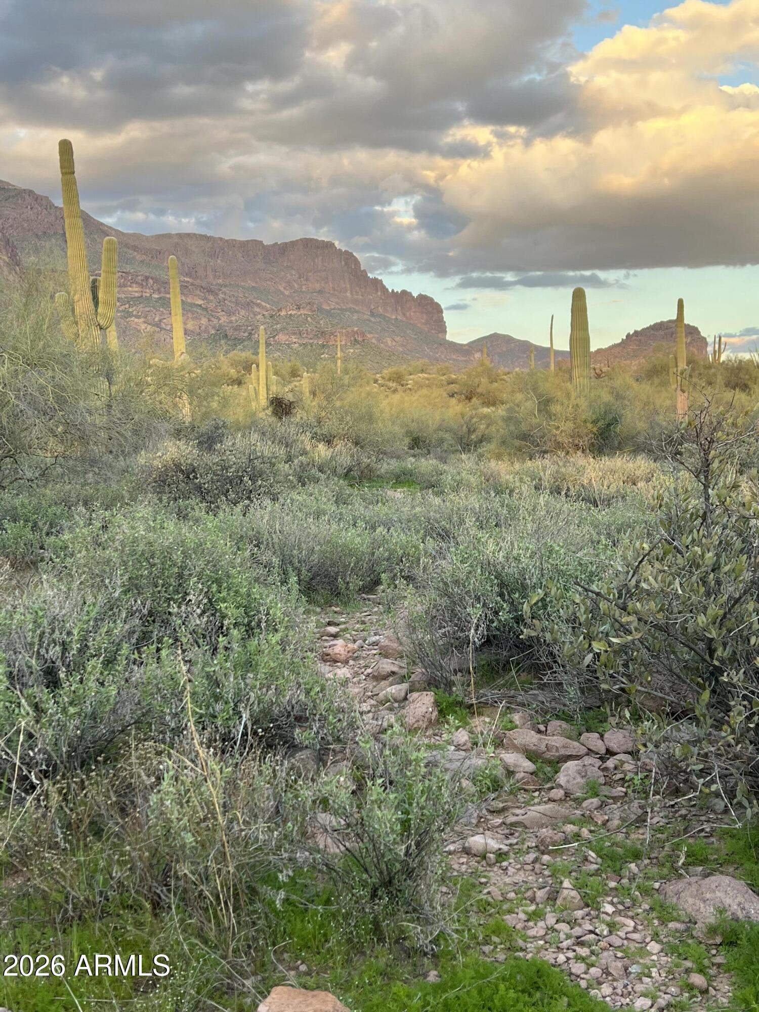 0 South Buckboard Road, Unit 2 Gold Canyon, AZ 85118 - Photo 13 of 17 a view of a city with lush green forest