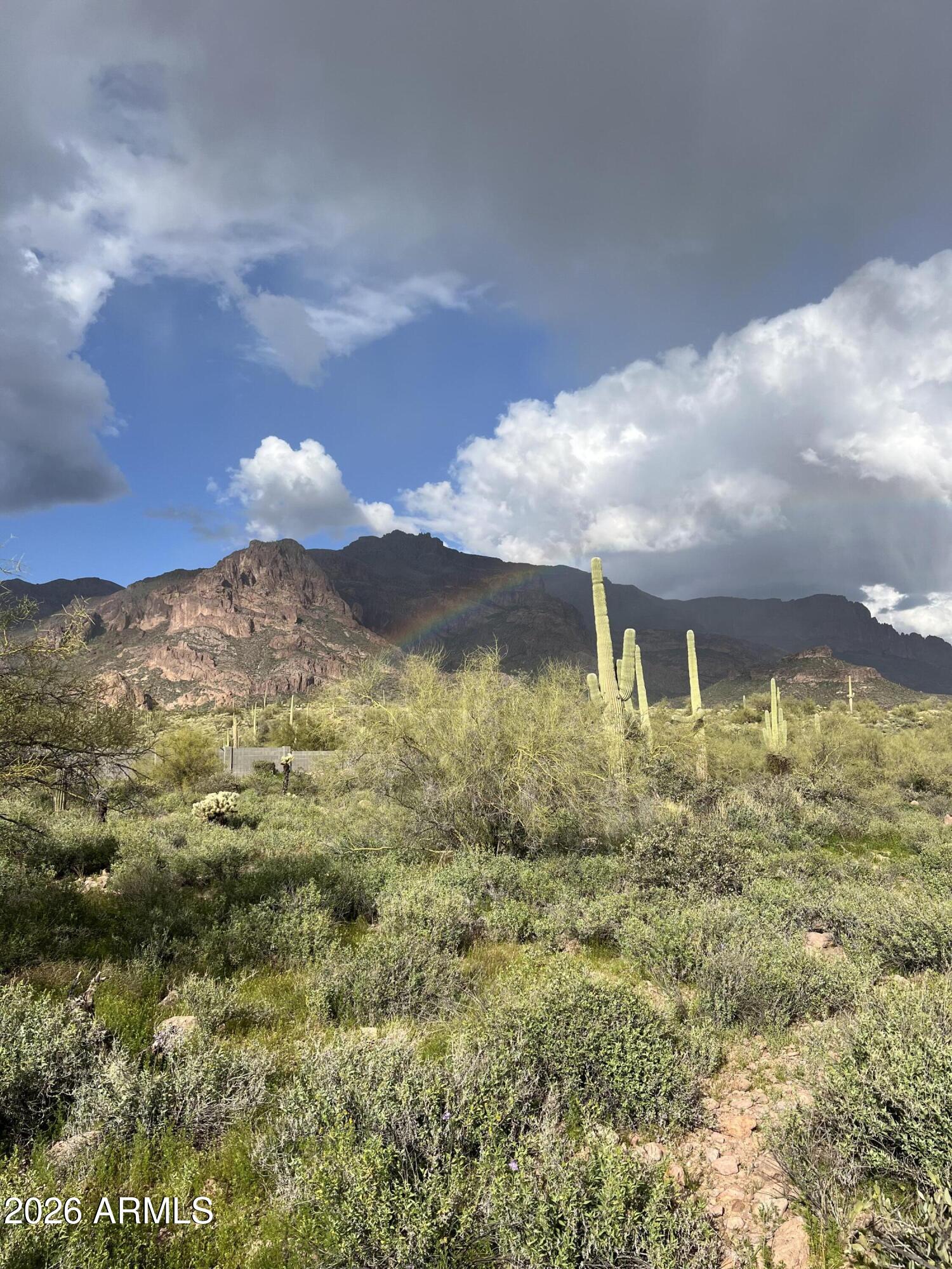 0 South Buckboard Road, Unit 2 Gold Canyon, AZ 85118 - Photo 16 of 17 a view of a house with a yard