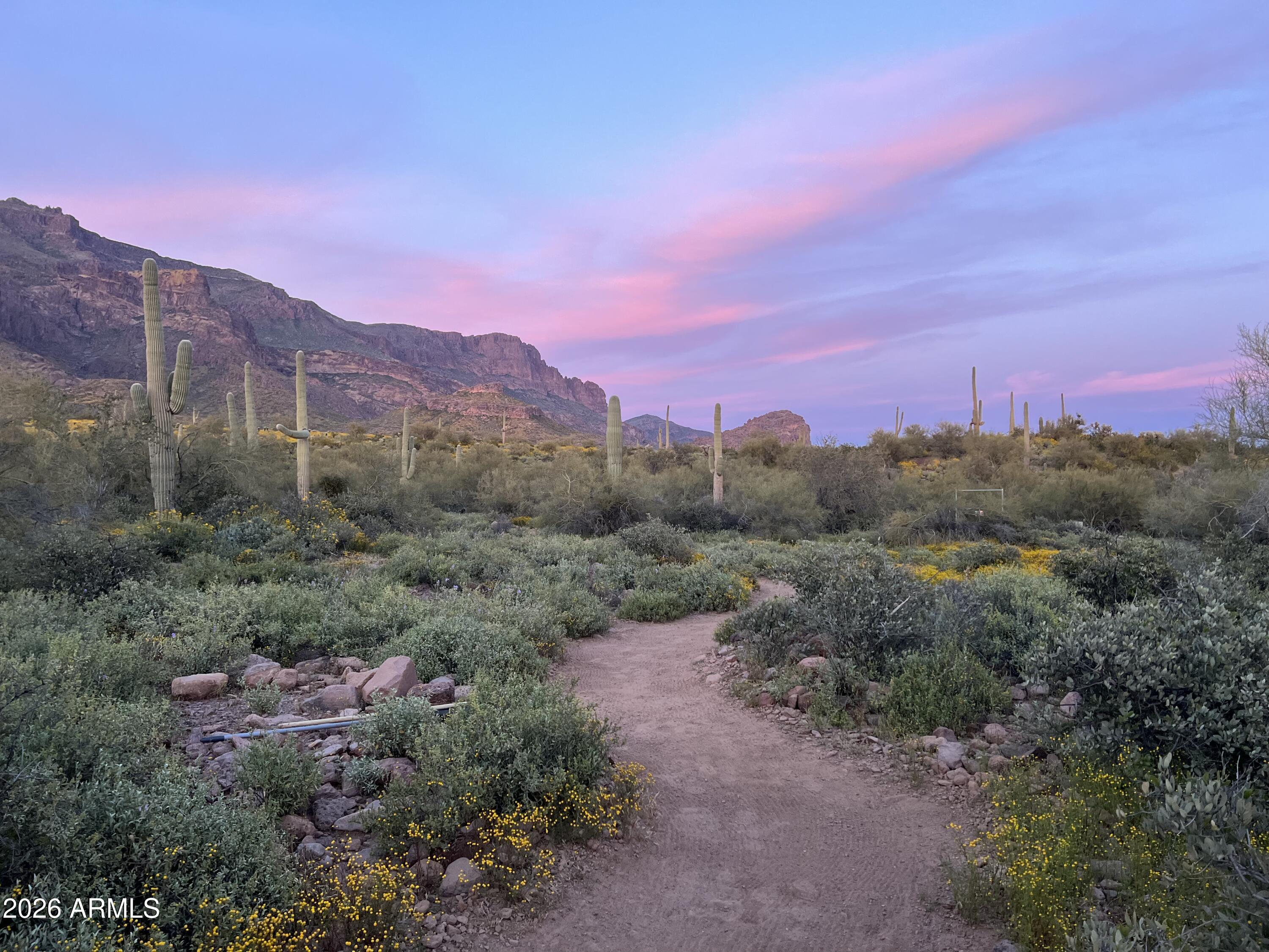 0 South Buckboard Road, Unit 2 Gold Canyon, AZ 85118 - Photo 2 of 17 a view of a mountain in the distance