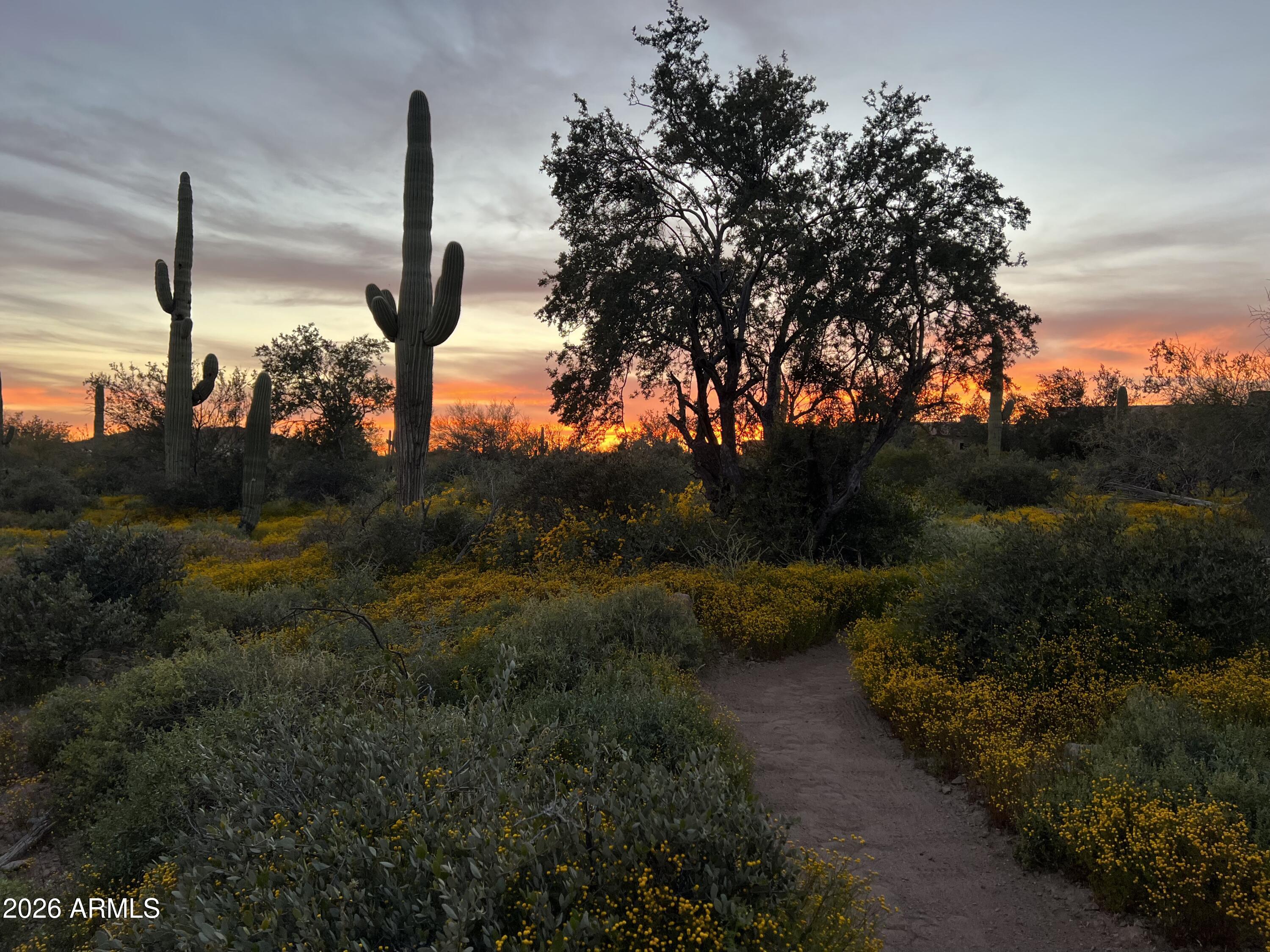 0 South Buckboard Road, Unit 2 Gold Canyon, AZ 85118 - Photo 3 of 17 a view of a outdoor space
