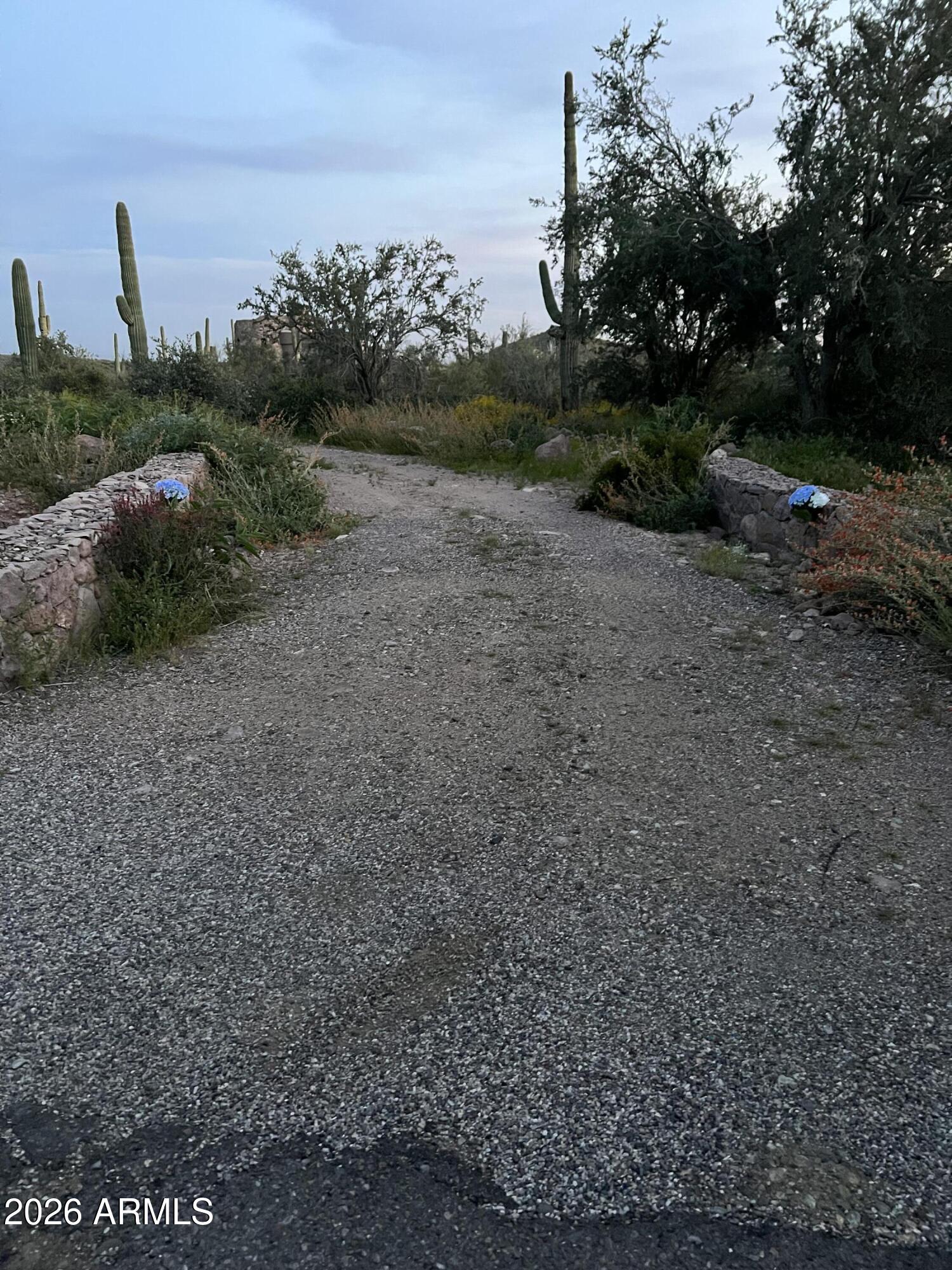 0 South Buckboard Road, Unit 2 Gold Canyon, AZ 85118 - Photo 4 of 17 a view of a field with plants and trees