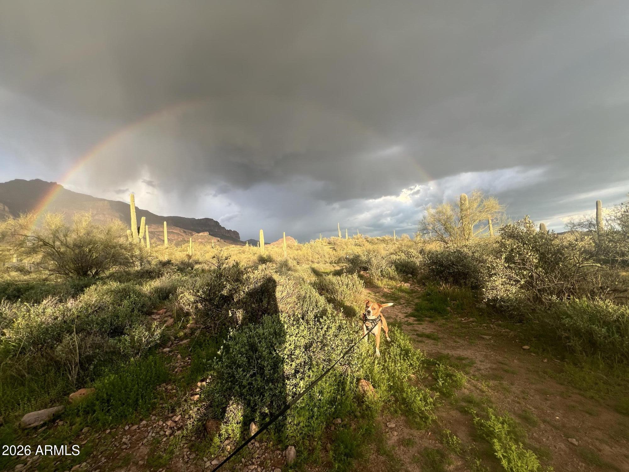 0 South Buckboard Road, Unit 2 Gold Canyon, AZ 85118 - Photo 5 of 17 a view of mountains