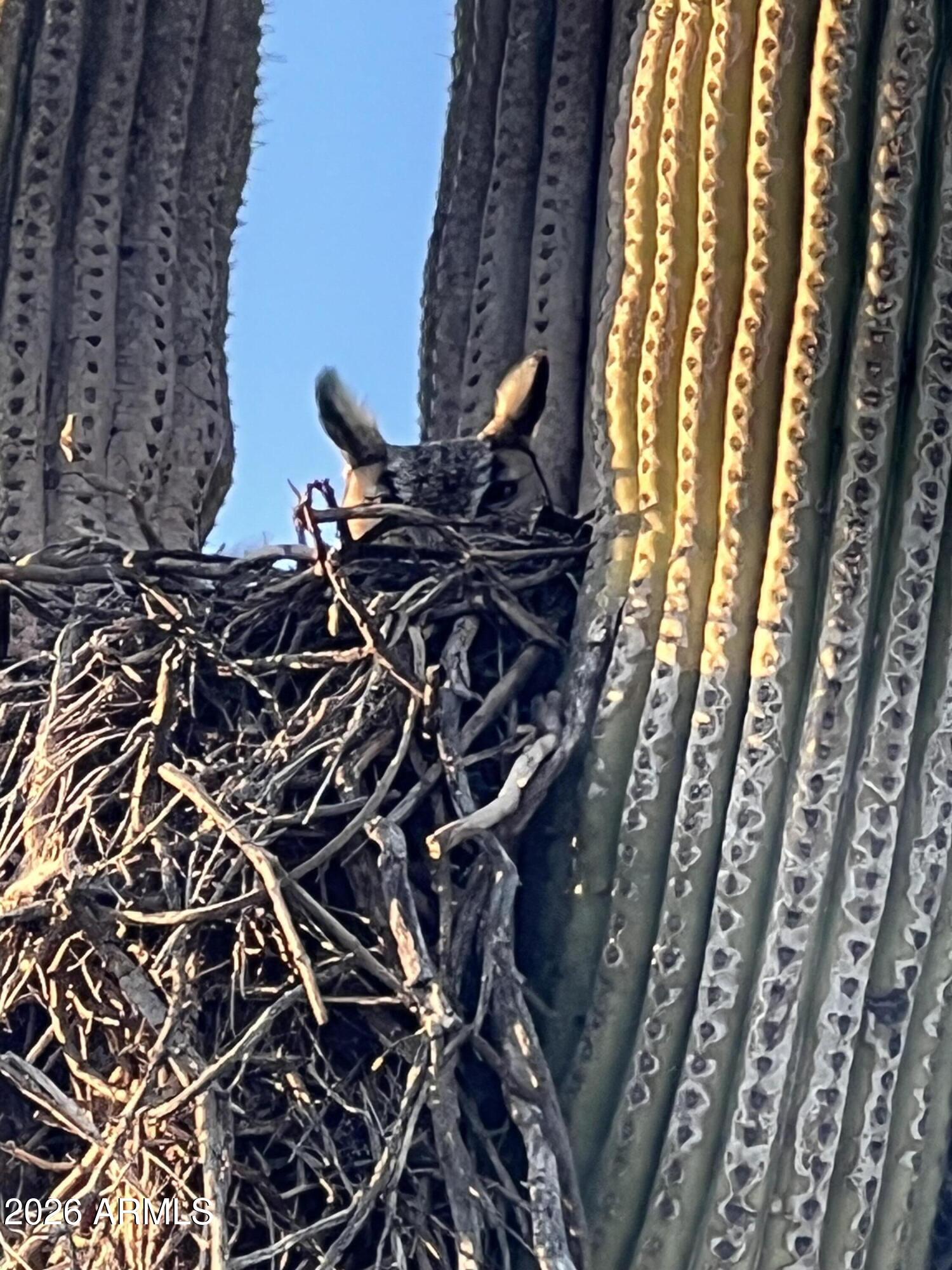0 South Buckboard Road, Unit 2 Gold Canyon, AZ 85118 - Photo 10 of 17 a picture of a door of a house