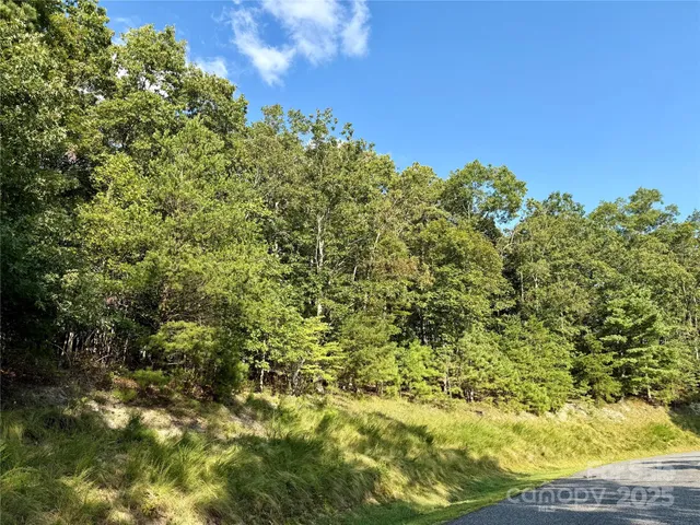 $95,000 | 512 Wild River Run, Unit 65, Marshall, NC 28753