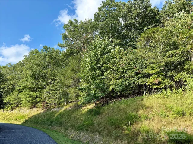 $95,000 | 512 Wild River Run, Unit 65, Marshall, NC 28753