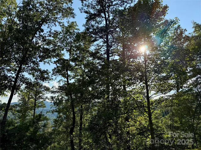 $95,000 | 512 Wild River Run, Unit 65, Marshall, NC 28753