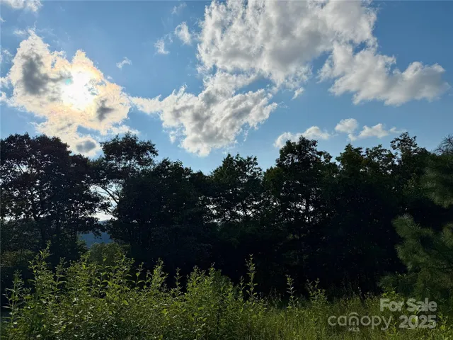 $95,000 | 512 Wild River Run, Unit 65, Marshall, NC 28753