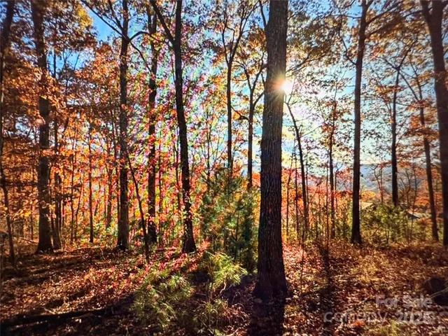 $95,000 | 512 Wild River Run, Unit 65, Marshall, NC 28753