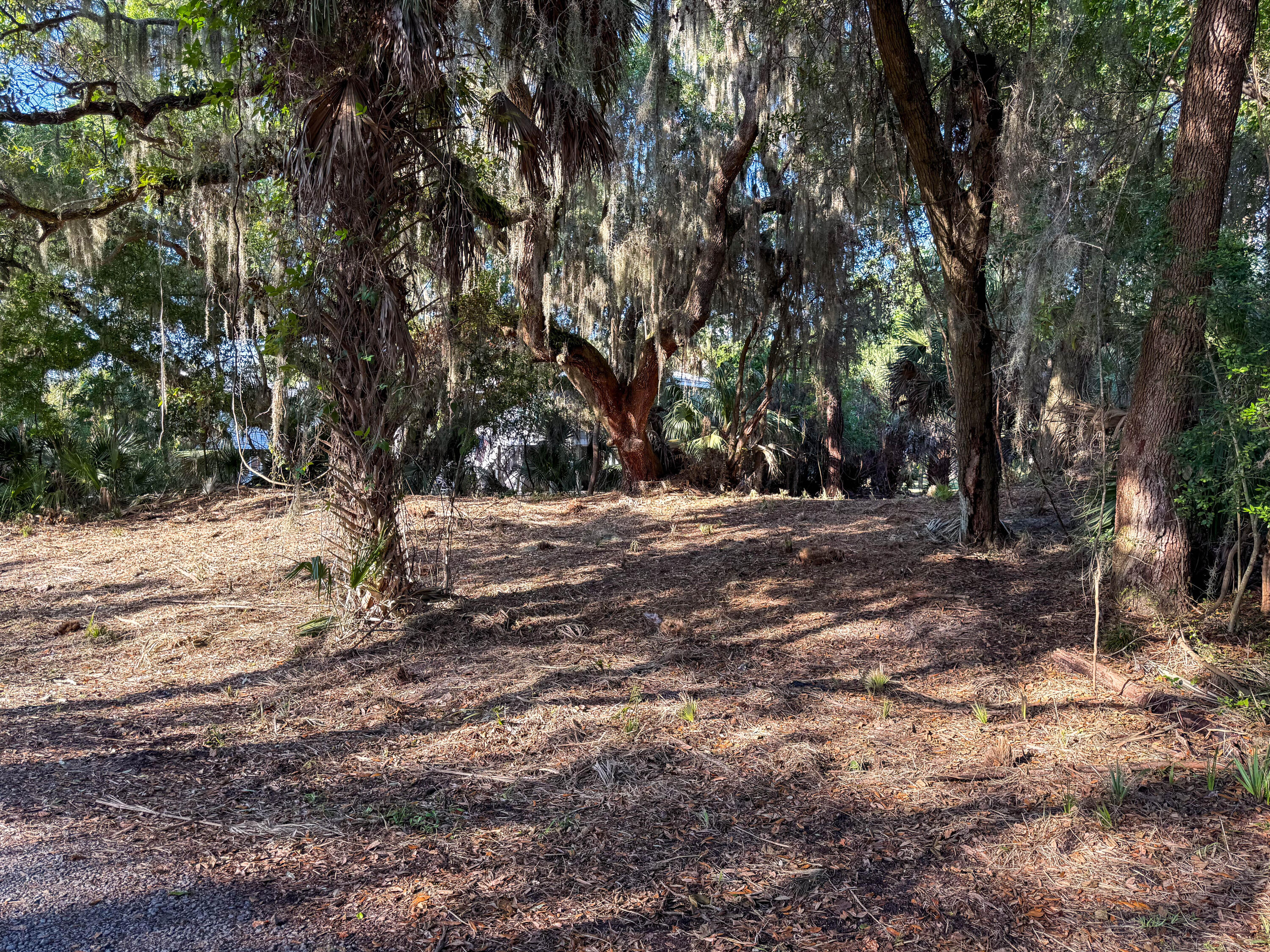 3303 Fort Street Edisto Island, SC 29438 - Photo 8 of 27 Fort-Lot-18