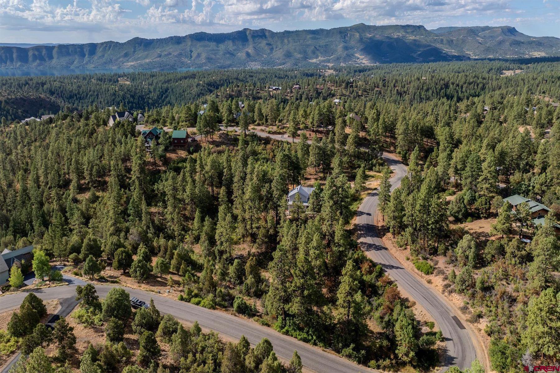 1172 Ridge Road Durango, CO 81303 - Photo 2 of 43 a view of a forest with a forest