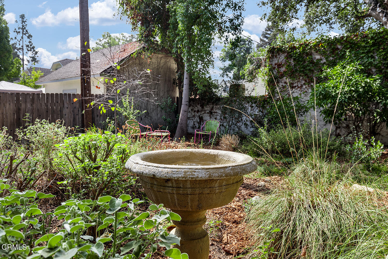 546 Douglas Street Pasadena, CA 91104 - Photo 31 of 36 a view of a backyard with plants and large tree