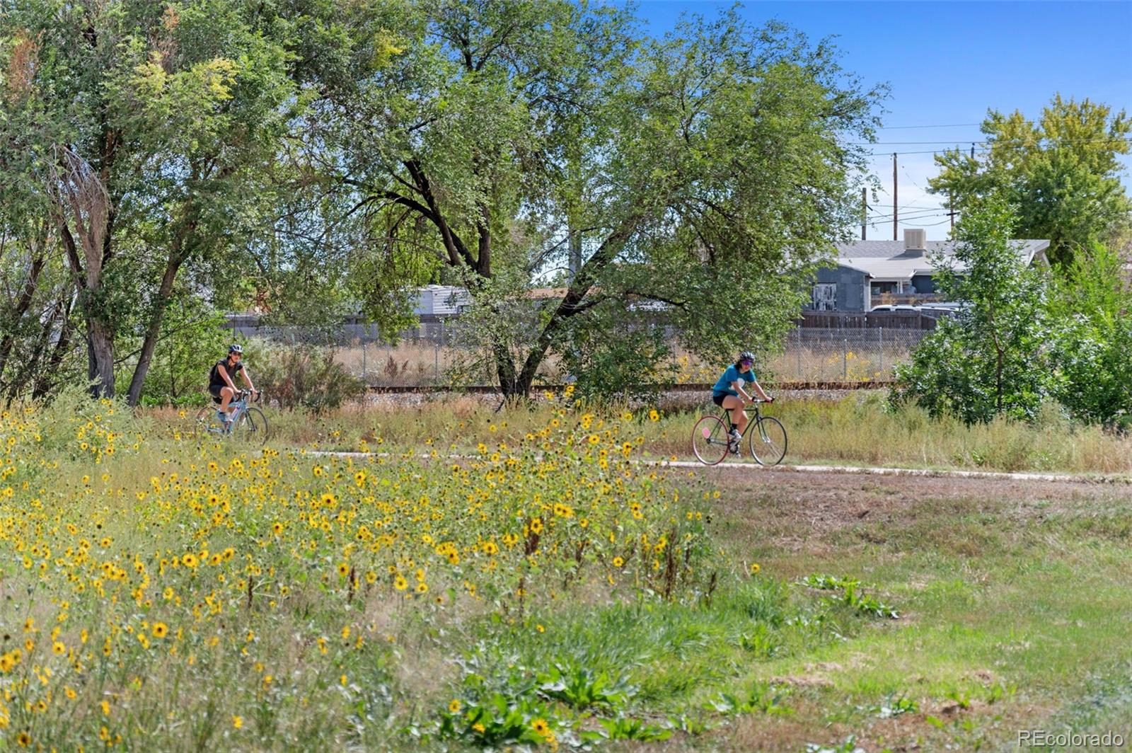 6817 Clay Street Denver, CO 80221 - Photo 34 of 41 a view of swimming pool with a yard