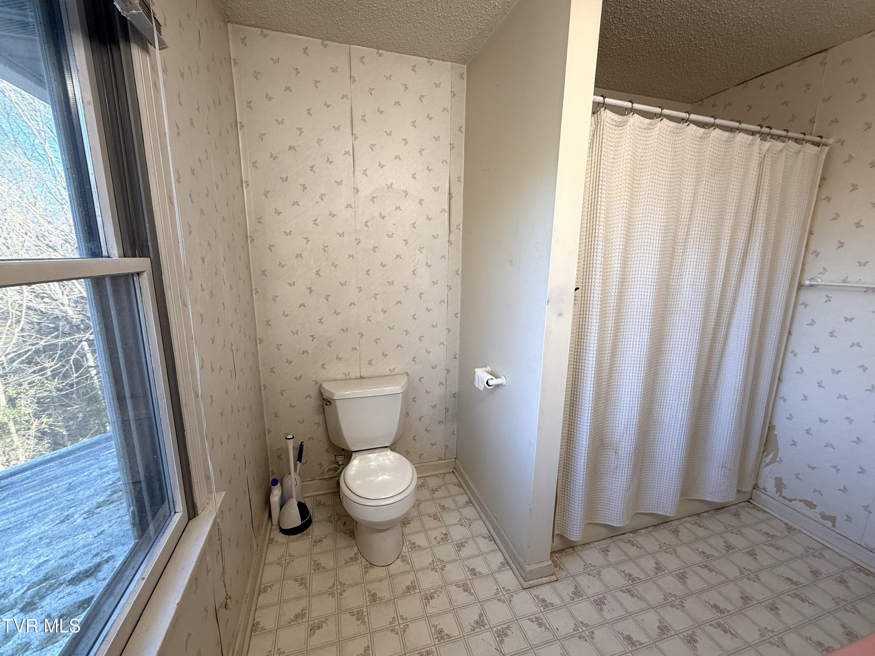 704 River Road Church Hill, TN 37642 - Photo 22 of 58 Full BA Shower