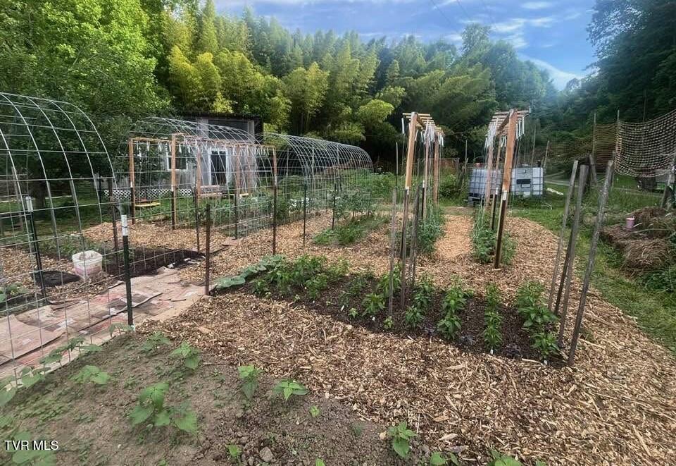 704 River Road Church Hill, TN 37642 - Photo 34 of 58 gardens 1