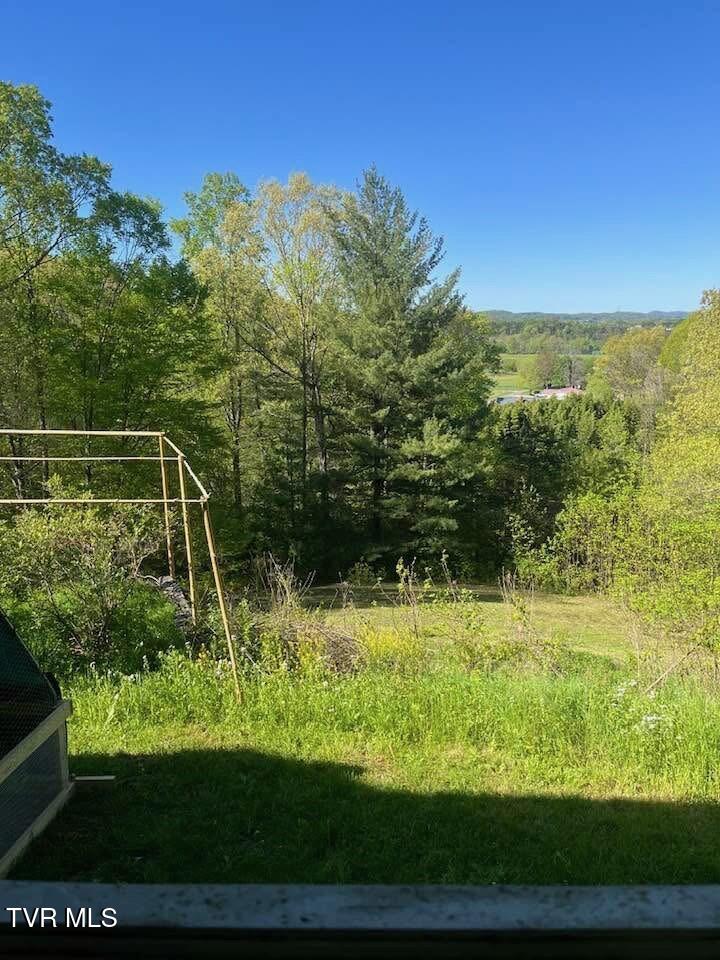 704 River Road Church Hill, TN 37642 - Photo 35 of 58 gardens 2