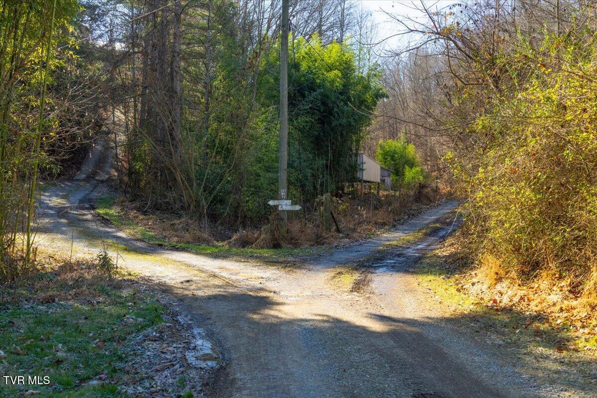 704 River Road Church Hill, TN 37642 - Photo 38 of 58 Split Driveway!