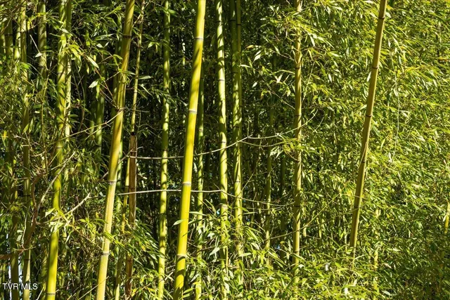 $750,000 | 704 River Road, Church Hill, TN 37642