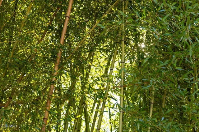 $750,000 | 704 River Road, Church Hill, TN 37642