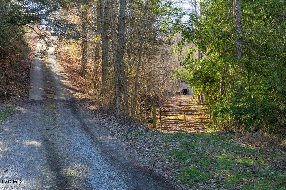 704 River Road Church Hill, TN 37642 - Photo 47 of 58 Road