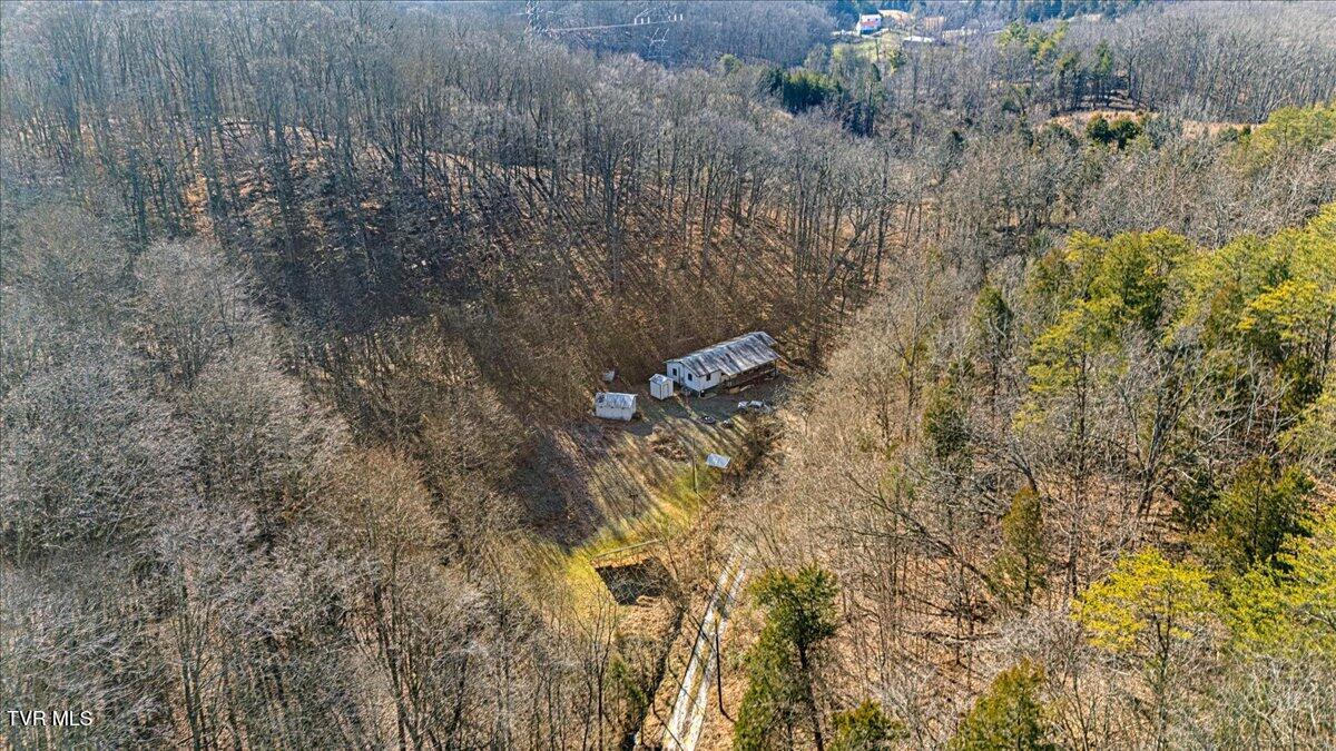 704 River Road Church Hill, TN 37642 - Photo 50 of 58 Woods for Privacy!