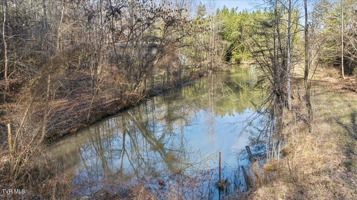 704 River Road Church Hill, TN 37642 - Photo 52 of 58 Pond!