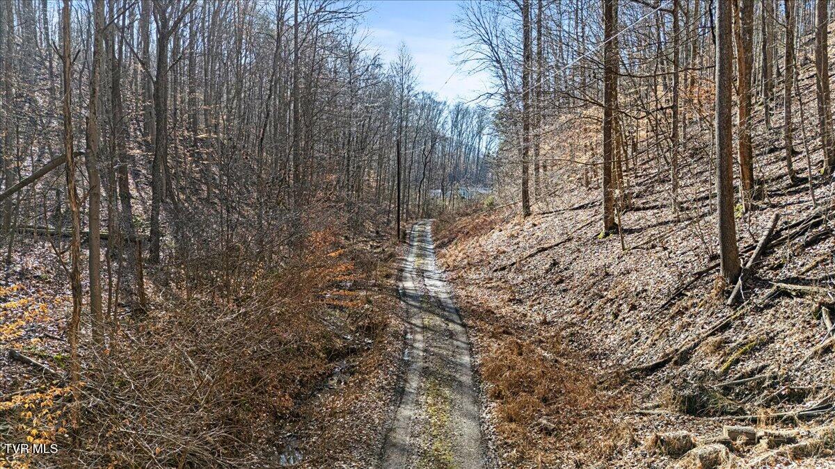 704 River Road Church Hill, TN 37642 - Photo 55 of 58 Dirt Road