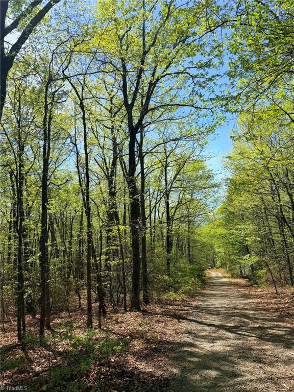 Tbd Raven Ridge Trail Dobson, NC 27017 - Photo 6 of 17 Gallery Image 6