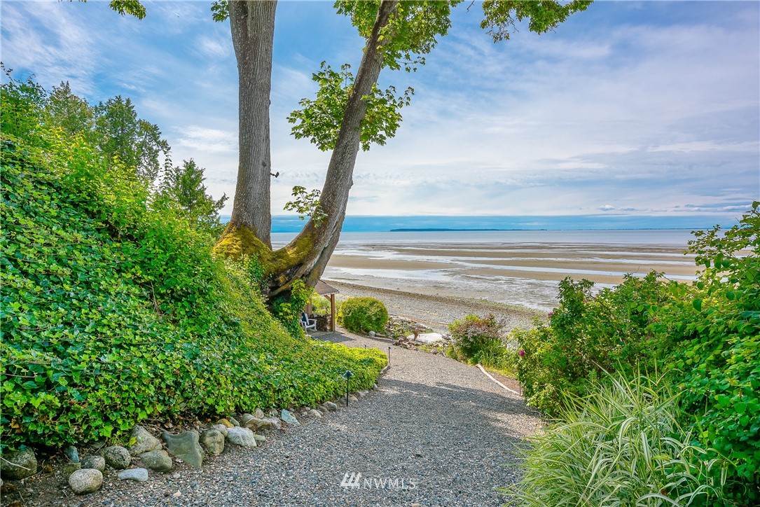 8745 Oertel Drive Blaine, WA 98230 - Photo 35 of 40 a plant sitting in front of a house
