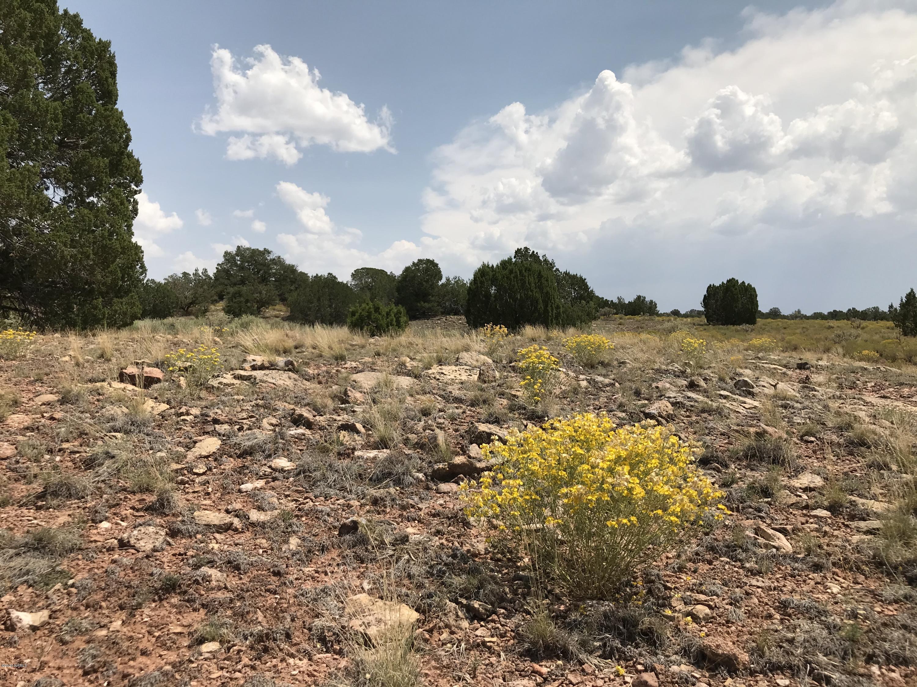 8346 Lariat Road Williams, AZ 86046 - Photo 4 of 11 51C3F0E6-FAA7-4A61-B761-F512B62E1FE8