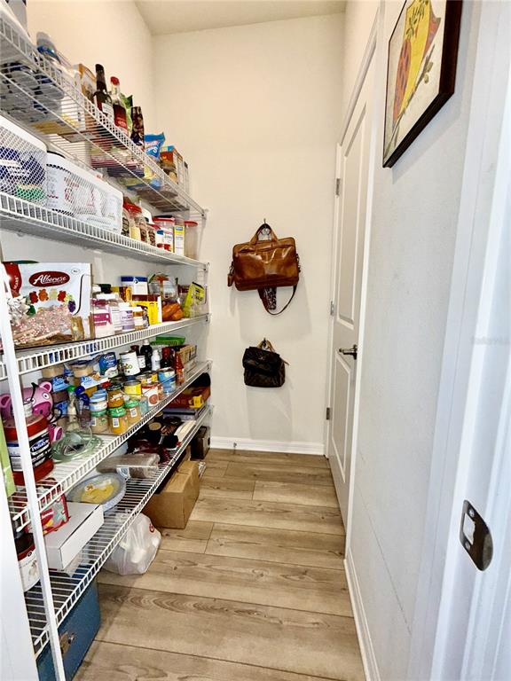 2208 Gopher Tortoise Terrace Oakland, FL 34787 - Photo 14 of 50 a view of entryway with storage