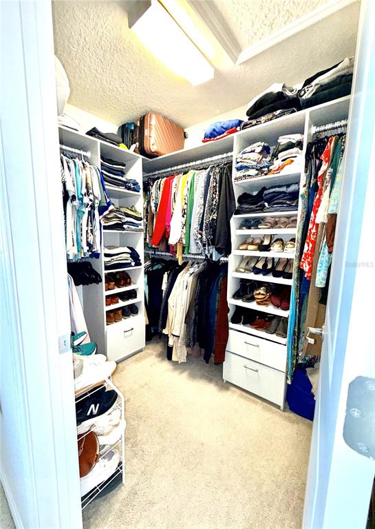 2208 Gopher Tortoise Terrace Oakland, FL 34787 - Photo 27 of 50