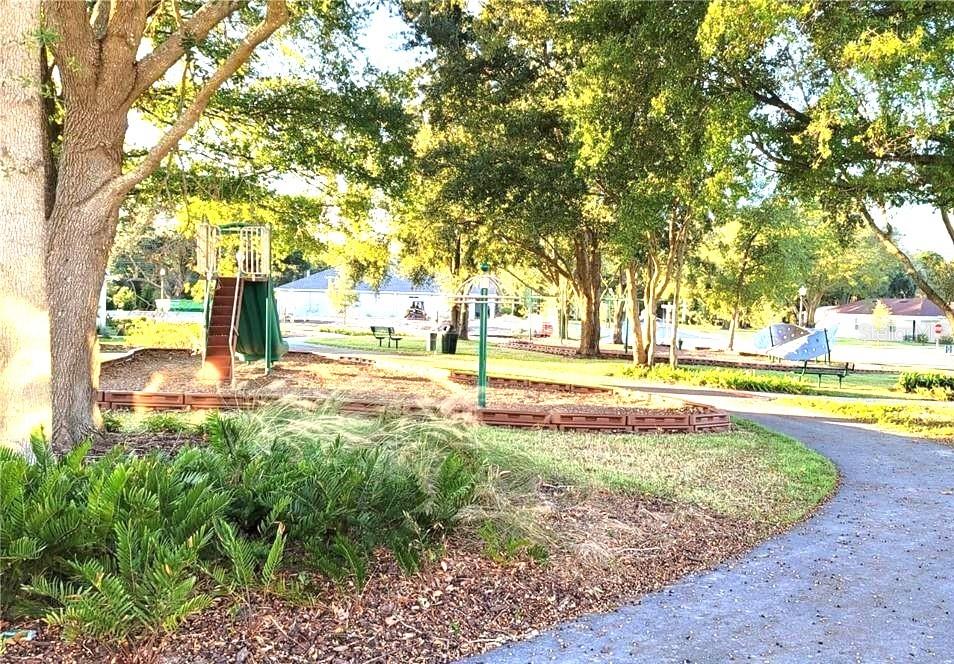 2208 Gopher Tortoise Terrace Oakland, FL 34787 - Photo 45 of 50 a view of yard with swimming pool and trees