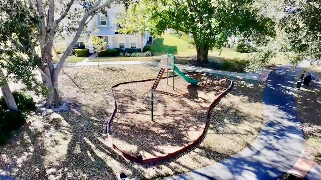 2208 Gopher Tortoise Terrace Oakland, FL 34787 - Photo 47 of 50 a view of a yard with plants