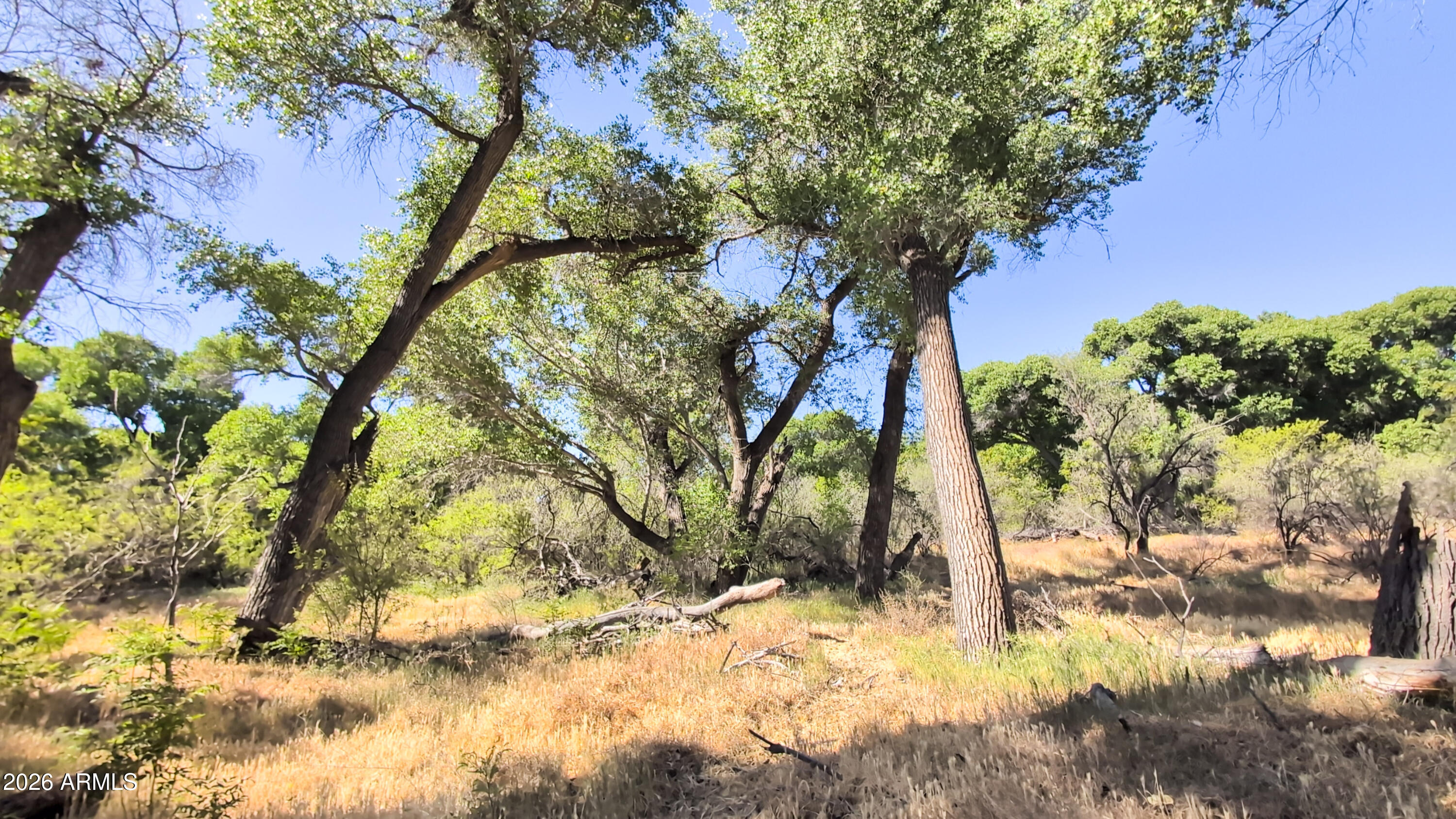 1165 North Willard Road Cottonwood, AZ 86326 - Photo 95 of 122