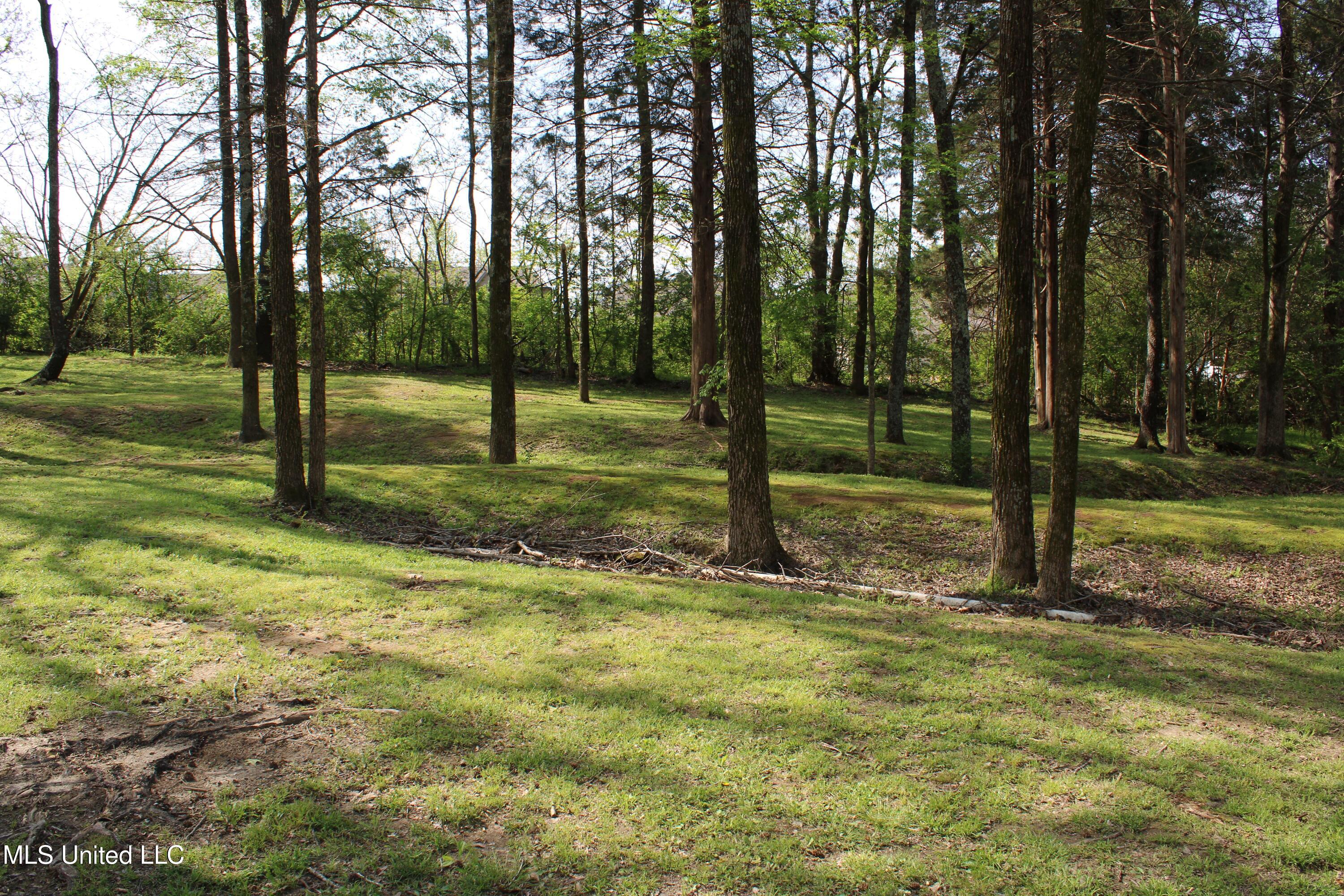 5325 Coleman Road Olive Branch, MS 38654 - Photo 54 of 58 IMG_4758