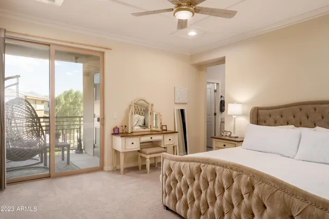 a view of a yard with plants and palm tree