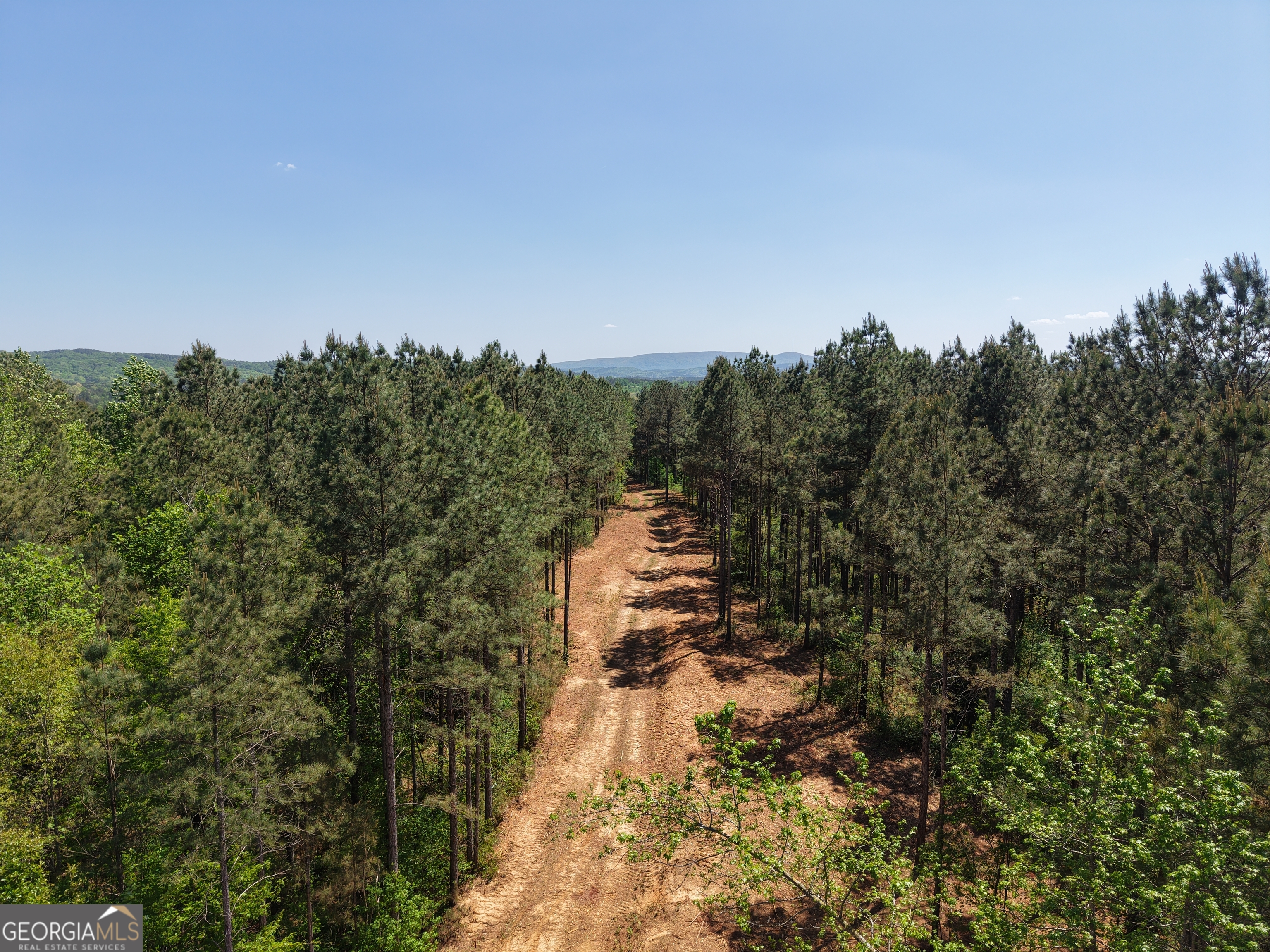 0 Ryo Mountain Road, Unit 9609 Fairmount, GA 30139 - Photo 25 of 87 Gallery Image 25
