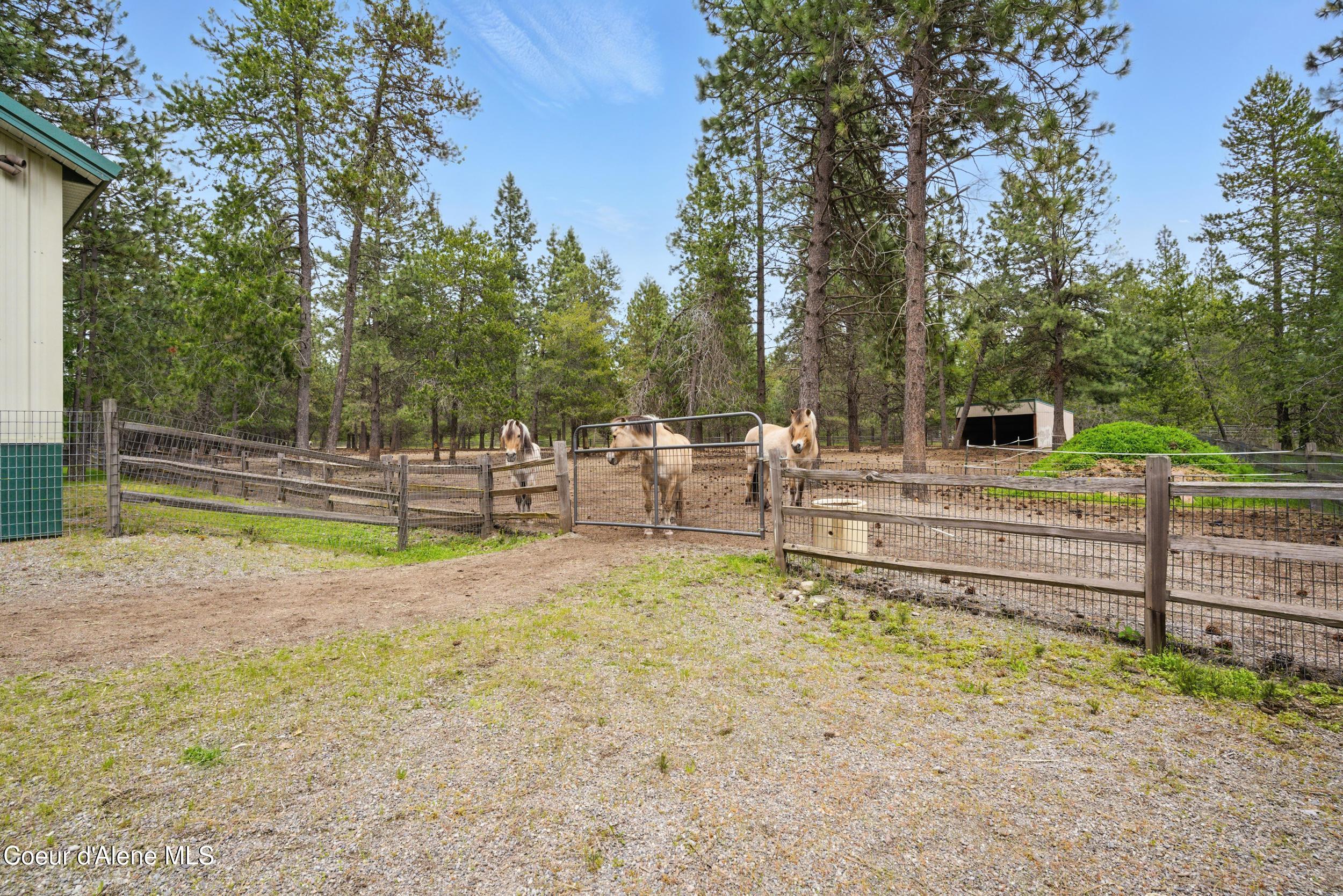 29913 North Red Fish Street Athol, ID 83801 - Photo 40 of 96 104_photo_064