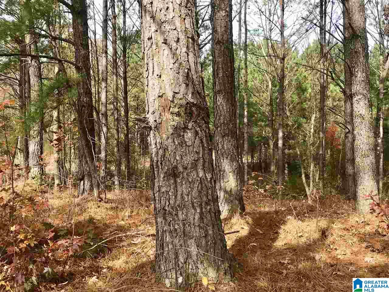 0 Bradford Place, Unit 30 Decatur, AL 35603 - Photo 2 of 4