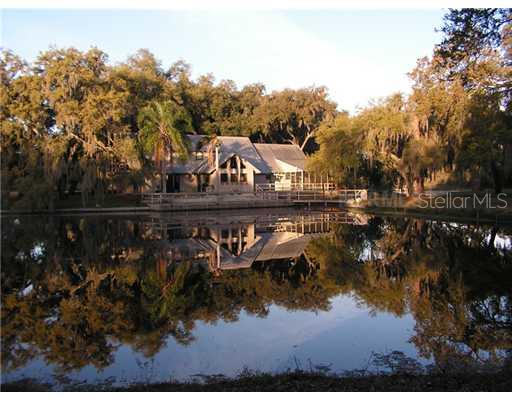 3739 Lithia Pinecrest Road Valrico, FL 33596 - Photo 1 of 1 Exterior Front